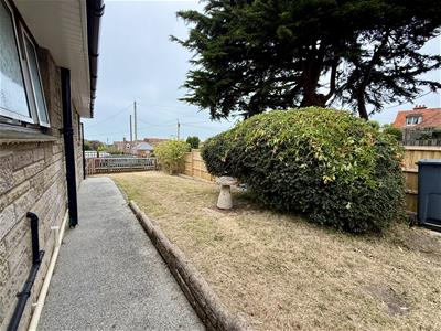 Picture 21